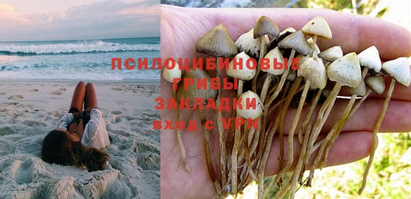 молекула духа Армянск