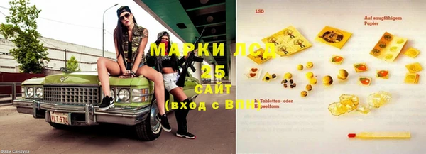 эйфоретик Белокуриха